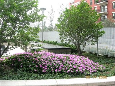 GALVANIZED STEEL FENCE