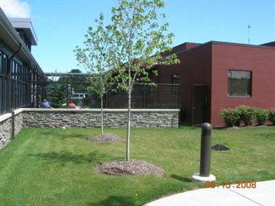 GALVANIZED STEEL FENCE